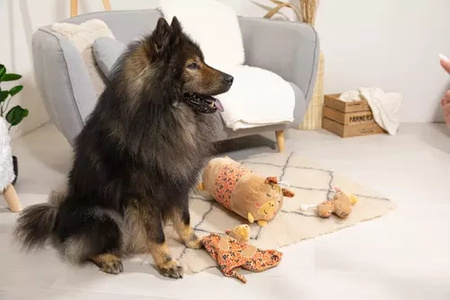 Zolux Zabawka pluszowa dla psa CHIQUITOS leniwiec podłużny XL 18,2x35,5x74