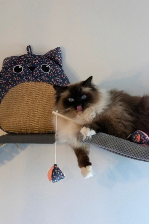 ZOLUX Zabawka dla kota drapka, kwiaty ETHICAT 41 cm