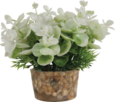 ZOLUX Ozdoba do akwarium roślina mała z zestawu nr 2