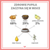 Karma mokra dla psa PUPIL Premium All Meat GOLD kaczka 800 g
