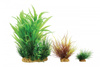 Zolux Ozdoba do akwarium rośliny PLANTKIT WIHA model 2