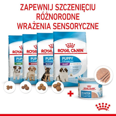 Royal Canin Starter Mother&Babydog karma mokra - mus, dla suk w czasie ciąży, laktacji oraz szczeniąt puszka 195g