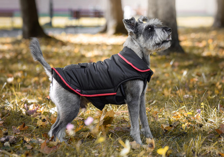 Zolux Podwójny płaszcz przeciwdeszczowy COSMO T45 kol. czarny