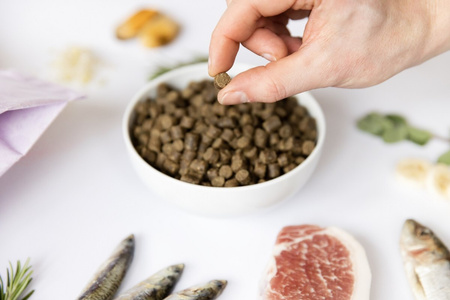 YDOLO Puppy - wieprzowina Iberico i ryby - karma półwilgotna dla szczeniąt (100g)