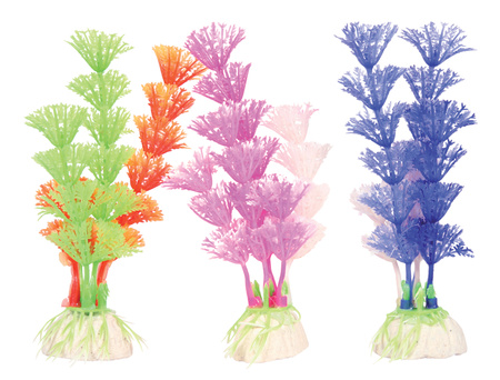 Zolux Ozdoba do akwarium roślina Color Plant S różne kolory