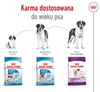 Royal Canin Giant Adult karma sucha dla psów dorosłych, od 18/24 miesiąca życia, ras olbrzymich 15kg