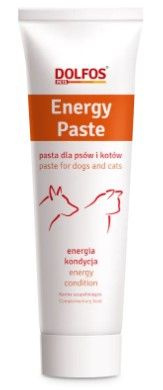 DOLFOS Energy Paste 100g