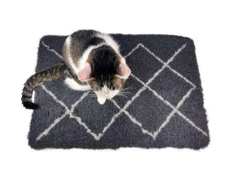 ZOLUX Dry bed posłanie izolujące dla psa wzór berberyjski 50x70 cm grafit