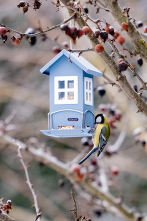 *- ZOLUX Karmnik Domek z 4 oknami kol. szaroniebieski