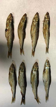 ARAMI C 200g SZPROT BAŁTYCKI SUSZONY