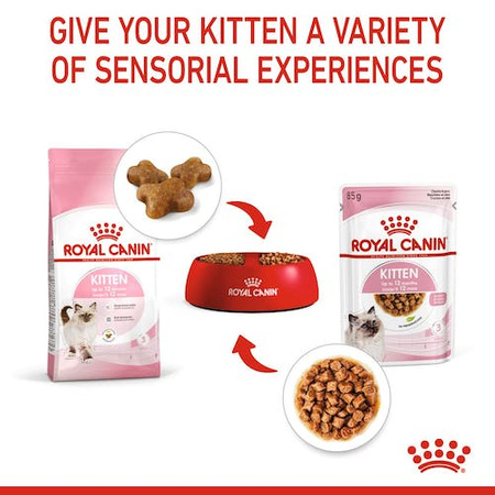 Royal Canin Kitten w galaretce karma mokra dla kociąt do 12 miesiąca życia saszetka 85g