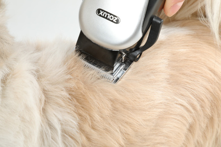 Zolux Maszynka do strzyżenia z zestawem akcesoriów