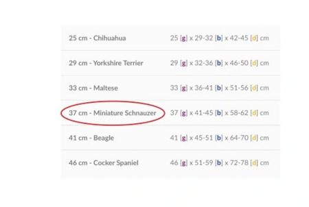 amiplay Boston 37 cm Kurtka puchowa z kapturem dla psa