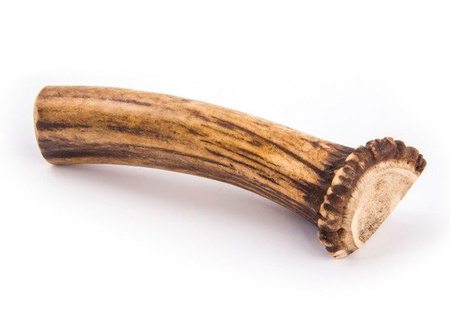 4DOGS GRYZAK POROŻE JELENIA L+ (EASY) /25