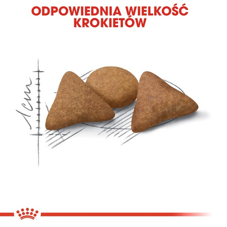 Royal Canin Indoor Apetite Control karma sucha dla kotów dorosłych, przebywających w domu, domagających się jedzenia 2kg