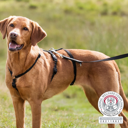 TX-13092 SZELKI STAY ANTYUCIECZKOWE S-M   10mm/40-65cm