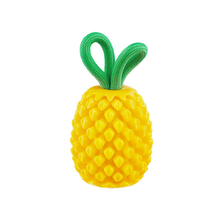 OH DENTAL PINEAPLE - ANANAS