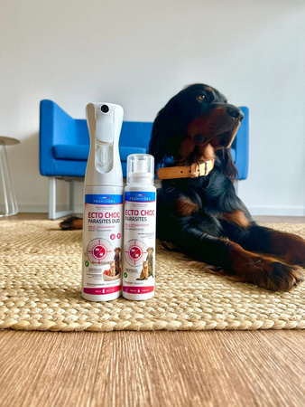 FRANCODEX Mgiełka na pasożyty dla psa i kota ECTO CHOC PARASITES DUO 290 ml