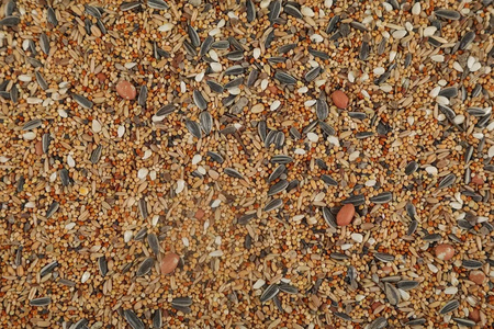 Zolux Pokarm mieszanka dla dużych papug NUTRIMEAL 3 800 g