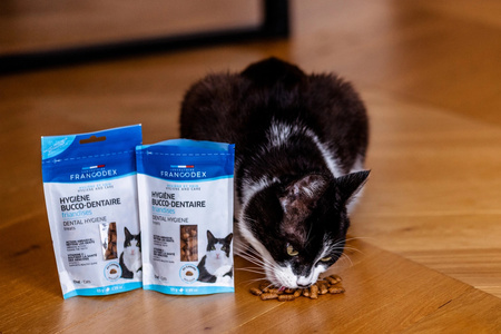 FRANCODEX Przysmak dla kociąt i kotów higiena jamy ustnej 65 g