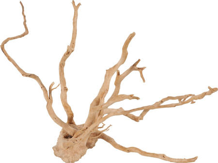 ZOLUX Ozdoba do akwarium korzeń japoński Spider Wood 10-30 cm