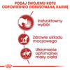 Royal Canin Instinctive w sosie karma mokra dla kotów dorosłych, wybrednych saszetka 85g