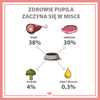 Karma mokra dla psa PUPIL Premium All Meat JUNIOR indyk i cielęciną 800 g