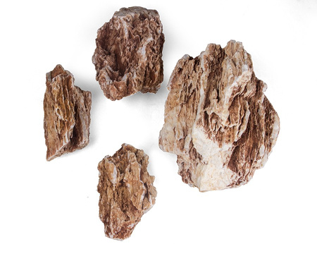 Skałka noga kurczaka, M 10-20cm