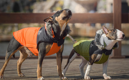 Zolux Ubranko puchowe MOUNTAIN T35 kol. pomarańczowy