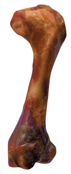 Zolux Kość o smaku szynki