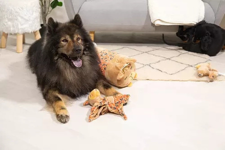 Zolux Zabawka pluszowa dla psa CHIQUITOS leniwiec okrągły XL 27,4x20x38,9cm