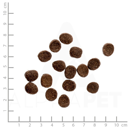 WILDES LAND CAT Huhn - kurczak z warzywami i ziołami (1,2kg)