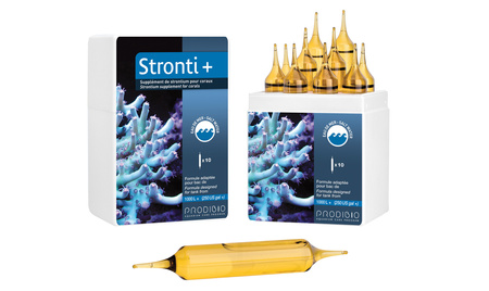 Prodibio Stronti+ PRO 10 ampułek wzrost twardych koralowców i małży