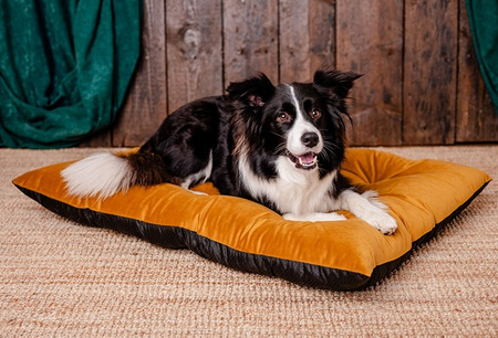 MIMIKO Pets Legowisko Poducha Velvet 100x70cm musztarda