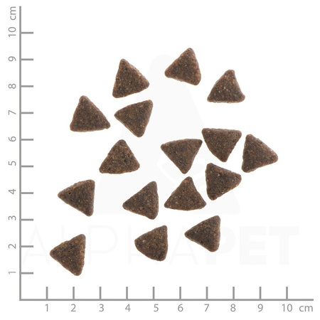 WILDES LAND DOG Pferd - konina z ziemniakami i ziołami (1kg)