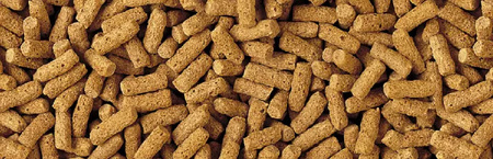 Tetra Pond Wheatgerm Sticks 7 L Pokarm dla ryb stawowych w oczku wodnym