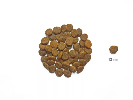 DOG'S LOVE Lachs - łosoś z batatami i spiruliną (12 kg)