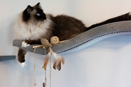 ZOLUX Zabawka dla kota wędka pompon z matatabi ETHICAT 40 cm