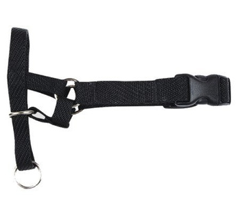 CHABA KAGANIEC  TRENINGOWY NR 6