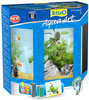 *- Tetra AquaArt Explorer Line 30 l Goldfish