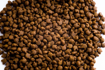 CLUB4Ł KOT 14kg URINARY HEALTH