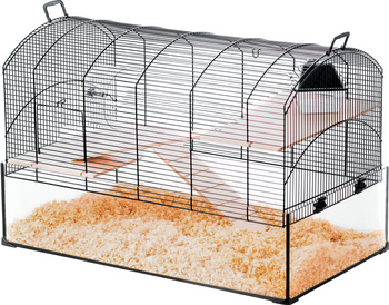 ZOLUX Klatka dla gryzoni i małych ssaków NEO PANAS XL szklana kuweta czarna