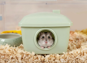 ZOLUX Domek dla chomika plastikowy COSY zielony 13,5x10,5x11,1cm