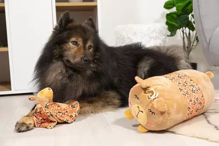 Zolux Zabawka pluszowa dla psa CHIQUITOS leniwiec kocyk 42,2x20,2x31,5 cm