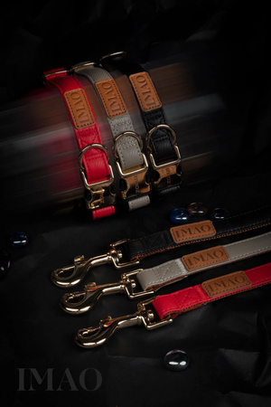 Zolux Smycz dla psa elegancka IMAO MAYFAIR 25 mm/1,2 m kol. szary