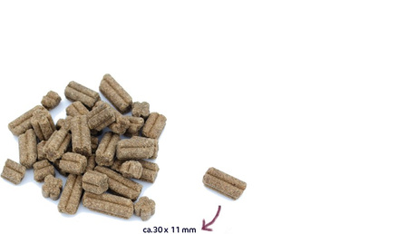 Renske Mighty Omega-3 Plus -świeży indyk z kaczką tłoczona na zimno (15 kg)