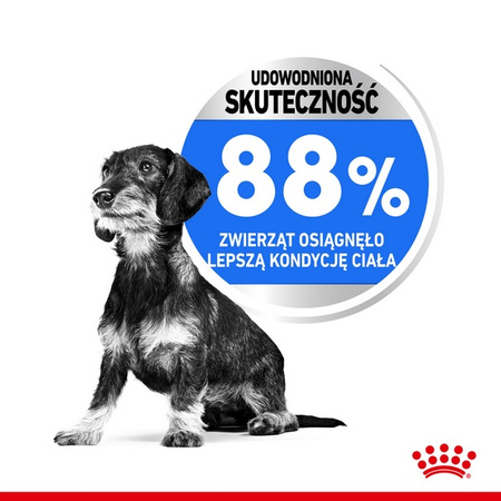 Royal Canin Mini Light Weight Care karma sucha dla psów dorosłych, ras małych z tendencją do nadwagi 8kg