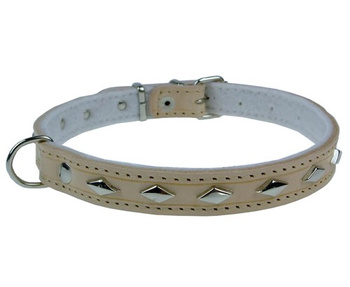 Champion Obroża Skórzana zdobiona naturalna [ZD 45]