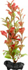 TETRA DecoArt Plant L Red Ludwigia, sztuczna roślina akwariowa 30 cm