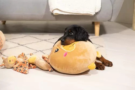 Zolux Zabawka pluszowa dla psa CHIQUITOS leniwiec ze sznurkiem 12x7,7x22,5